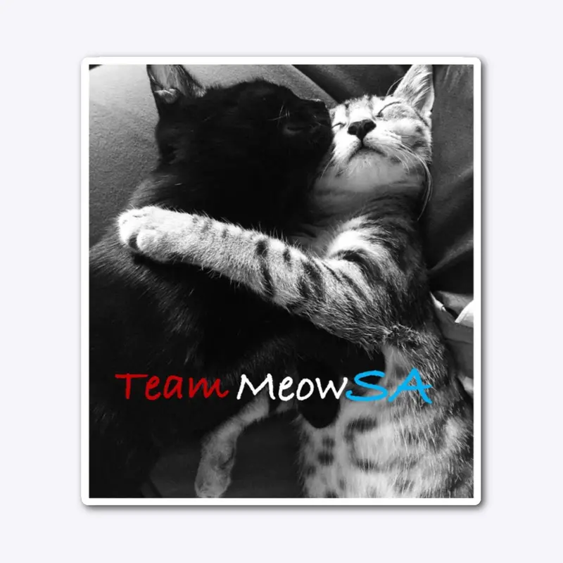 Team MeowSA